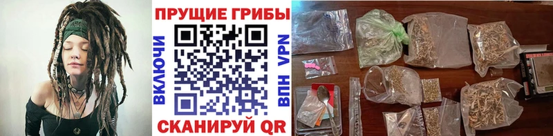 Псилоцибиновые грибы прущие грибы  купить наркоту  Сухой Лог 